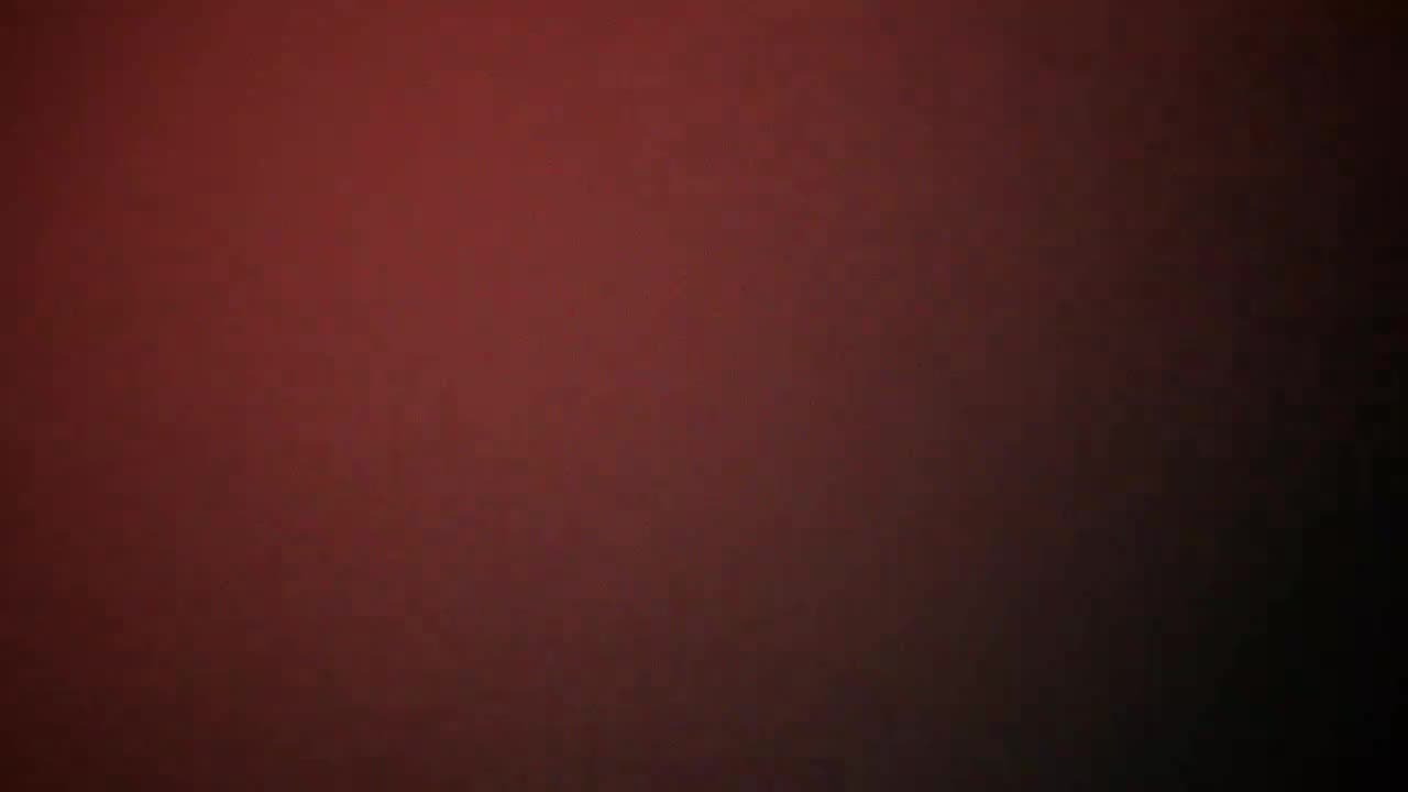 Campaign key visual — crimson lehenga sweeping across a charcoal haveli corridor
