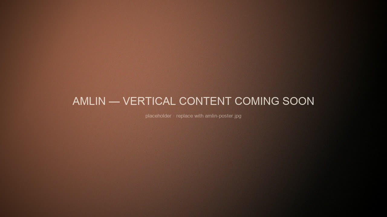 Amlin — Founders & Verticals — poster